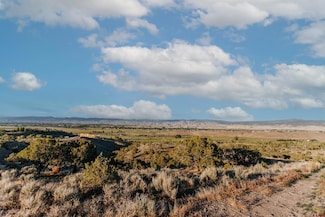Lot 1 6495 Rd, Montrose, CO 81403