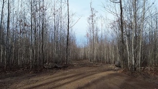 W583X Oakridge Dr, Brooklyn, WI 54888