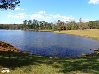 0 Highway 11, Vance, AL 35490