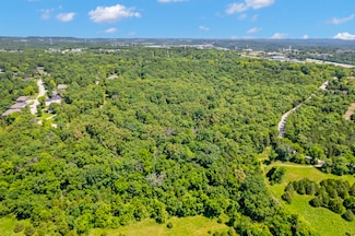 301 Cahill Rd, Branson, MO 65616