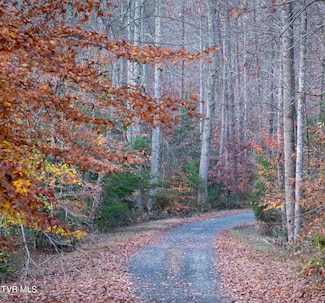 Tbd Fire Station Rd, Elizabethton, TN 37643