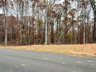 Lot 12 Rolling Meadows Way, Waverly Hall, GA 31831