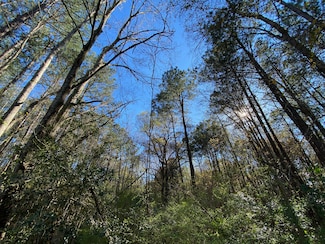 0000 Winter St, Moncks Corner, SC 29461