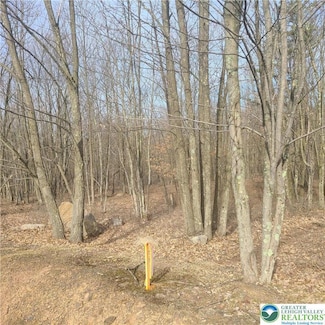 230 Elderberry Ln, Hazle Township, PA 18202