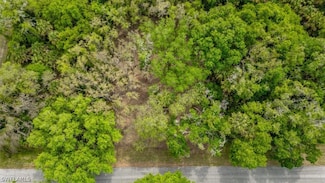 0 March Ln Unit 224036497, Labelle, FL 33935