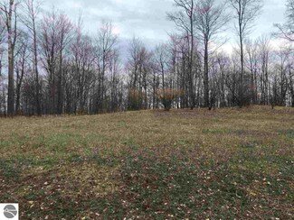 6518 Floreys Ranch Rd Unit 9, Grawn, MI 49637