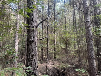1 Bethel Rd, Mt. Holly, AR 71758