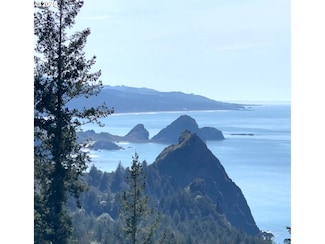 38097 Pacific Highlands Dr, Port Orford, OR 97465