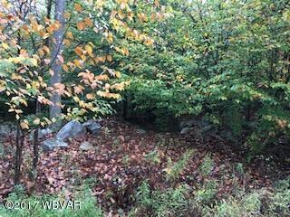 0 (LOT 6) Hilary Ln, Laporte Township, PA 18614