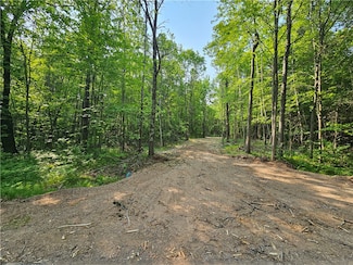Lot 8, 2.08+/- Acres 295th St, Holcombe, WI 54745