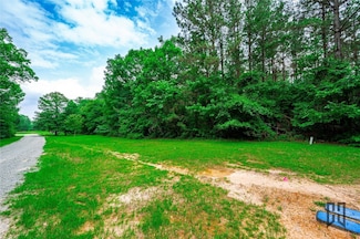 0064 Holomon Cemetery Rd, Dubberly, LA 71024