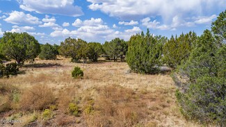 1145 E Tamarack St Unit 190, Williams, AZ 86046