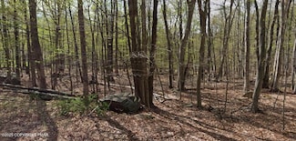 551 Chipmunk Trail, Lords Valley, PA 18428