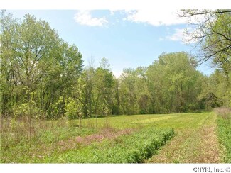 0 Tag Rd Unit S354482, Sullivan, NY 13037