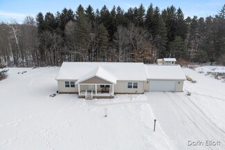 2065 Hjermstad Rd, Ionia, MI 48846