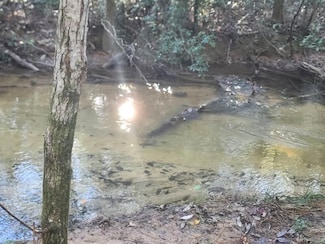 4 Ac Seven Oaks Rd, Defuniak Springs, FL 32433