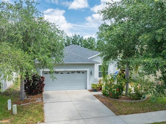 13803 Chalk Hill Place, Riverview, FL 33579