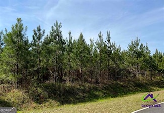 Lot 4 Whitfield Rd, Elko, GA 31025