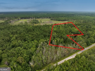 1243 Credit Hill Rd Unit 5 ACRES, Townsend, GA 31331