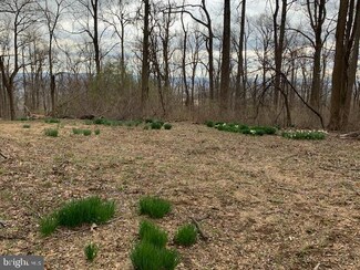 19802 Old Blueridge Rd, Bluemont, VA 20135