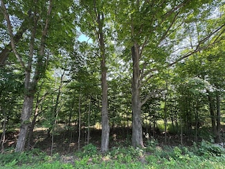Lot 1 Division Rd, Egg Harbor, WI 54209