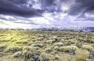 TBD Toler, Gardnerville, NV 89410