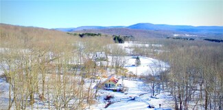 1949 Upper Meeker Hollow Rd, Roxbury, NY 12474