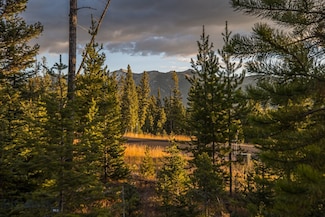 134 Old Moose Fork, Gallatin Gateway, MT 59730