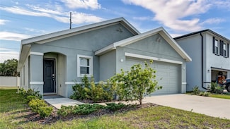 12173 Downy Birch Dr, Riverview, FL 33569