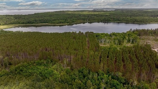TBD Fs 2666, Walker, MN 56484