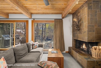 1039 E Cooper Ave Unit 21A, Aspen, CO 81611