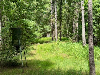 County Road 211, Carrollton, MS 38917