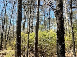 3-14-15 Calhoun County Road 6, Hampton, AR 71744