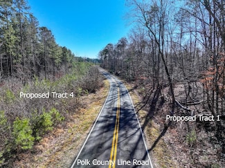 1, 2 & 3 Polk County Line Rd, Mill Spring, NC 28756