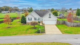 45 Shallow Lake Cir, Allensville, KY 42204
