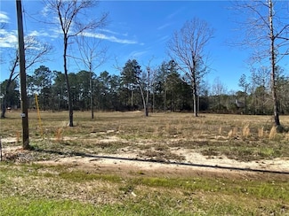 0 Sophie Ln Unit Lot 46 CN164376, Dry Prong, LA 71423