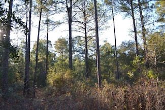 0 Sandpiper Ln Unit 25650871, Swainsboro, GA 30401