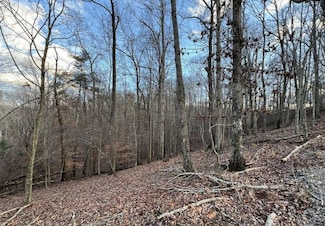 0 Crown Ct Unit 414818, Ellijay, GA 30540
