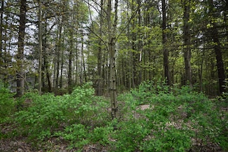 V/L 6th St, Twin Lake, MI 49457