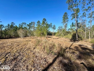0 Jessie Williams Rd, Millry, AL 36558