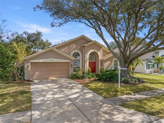 3979 Jenita Dr, Palm Harbor, FL 34685
