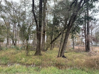 0 Pinemont Dr Unit 35186747, Guy, TX 77444