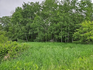 20 acres 22 1 4 St, Sioux Creek Township, WI 54728