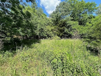 Lot 174 Teludachee Trail, Orme, TN 37380
