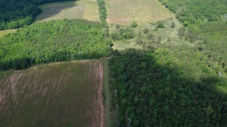 County Line Rd Lot Unit WP001, Cuthbert, GA 39840