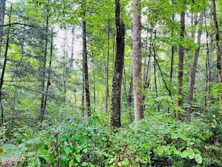 0 Holly Ln, Sevierville, TN 37862