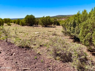 TBD Co Rd 8269 Lot 151 --, Concho, AZ 85924