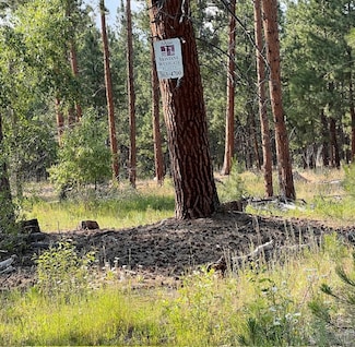 Nhn Blair Ln, Victor, MT 59875
