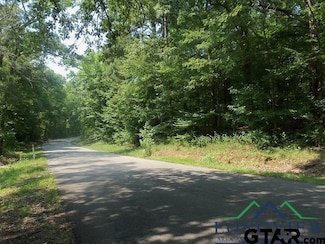 TBD Willow Springs Rd & Woodway, Kilgore, TX 75662