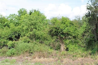 TBD Delacroix Hwy, St. Bernard, LA 70085